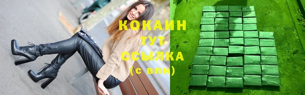 дмт Каменногорск
