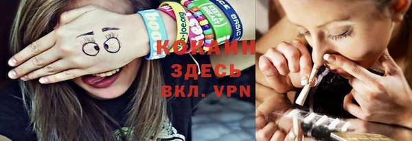 дмт Каменногорск