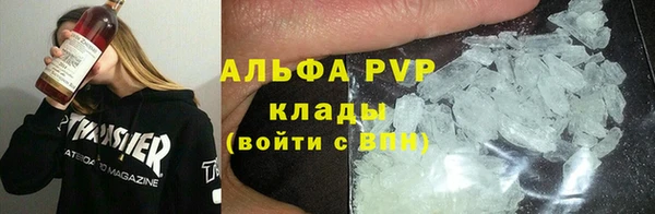 тгк Каменка