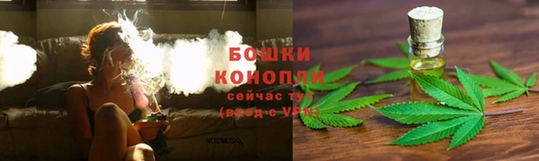 тгк Каменка