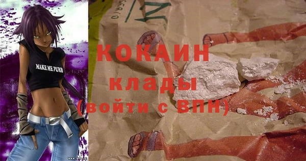 тгк Каменка