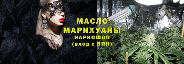 тгк Каменка