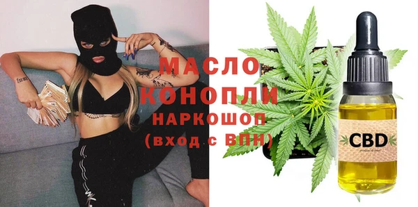 тгк Каменка