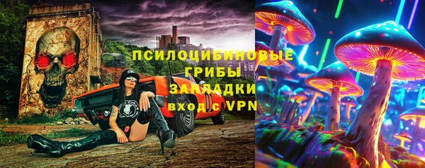 дмт Каменногорск